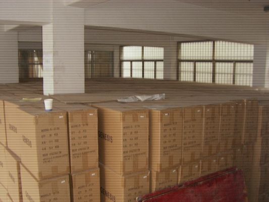 220V Fornitore di energia Ferro elettrico con 100 ml di capacità del serbatoio dell'acqua