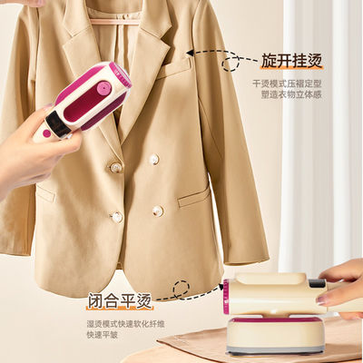 RoHS e CE certificato LM-2303 Handheld Garment Steamer per abiti perfettamente al vapore